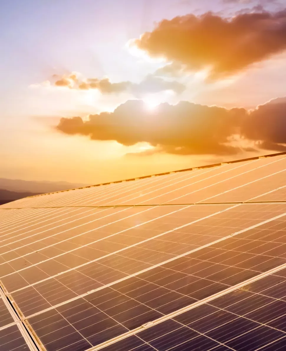 Solar panels illuminated by sunset.